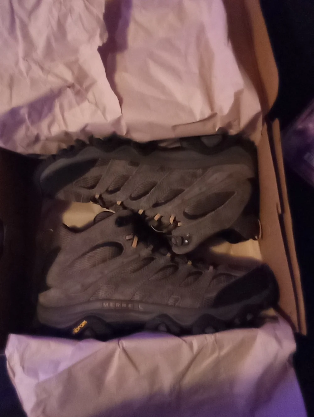 Merrell Men's Moab 3 Mid Trail Boots
